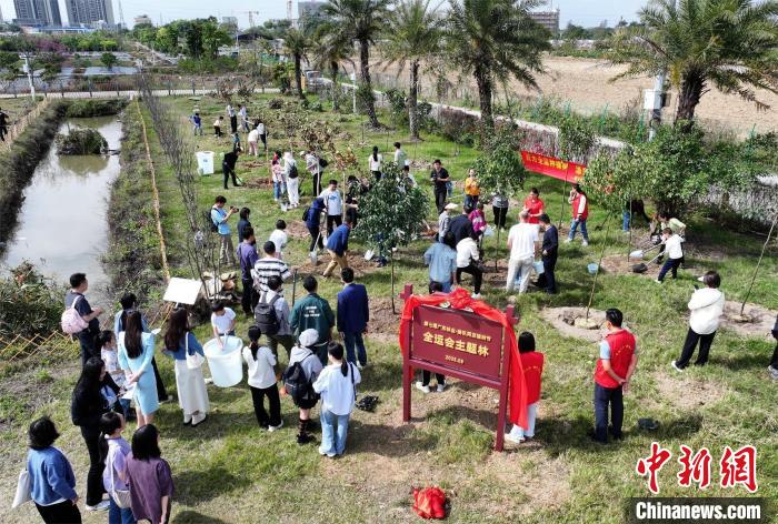 广东合力推动绿色全运：以广泛植绿与低碳行动